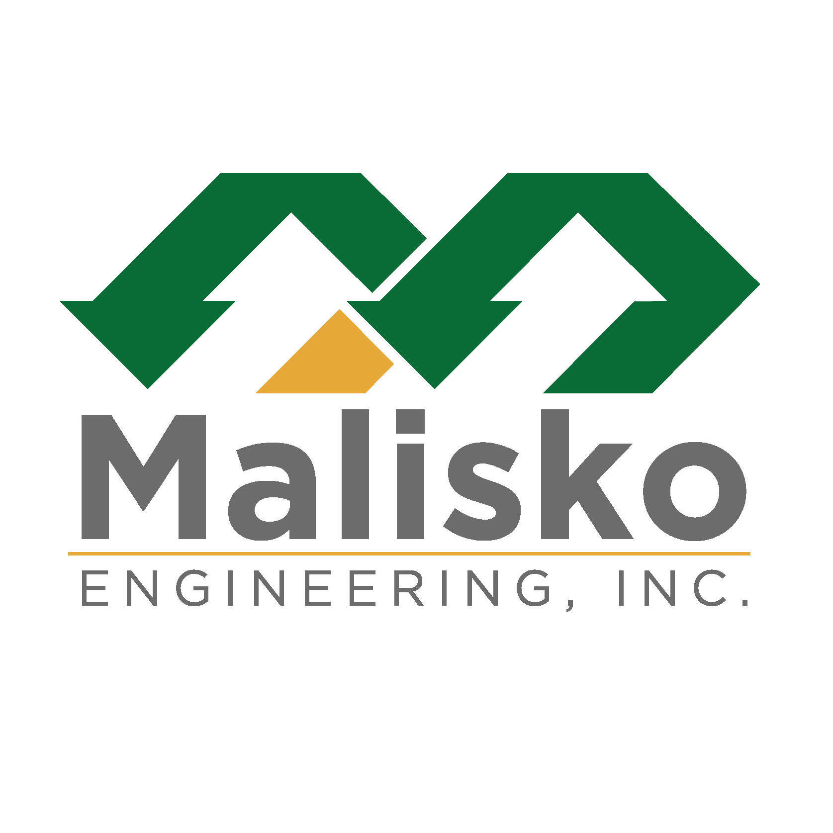 MALISKO ENGINEERING/EAU CLAIRE - INFORMATION TECHNOLOGY SCHOLARSHIP